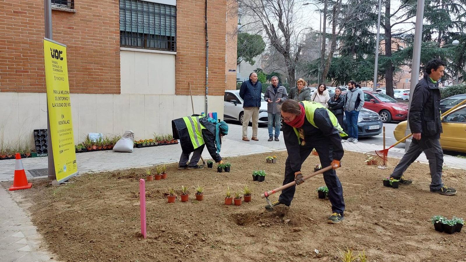 El distrito de Moratalaz mejora los jardines de sus espacios interbloque