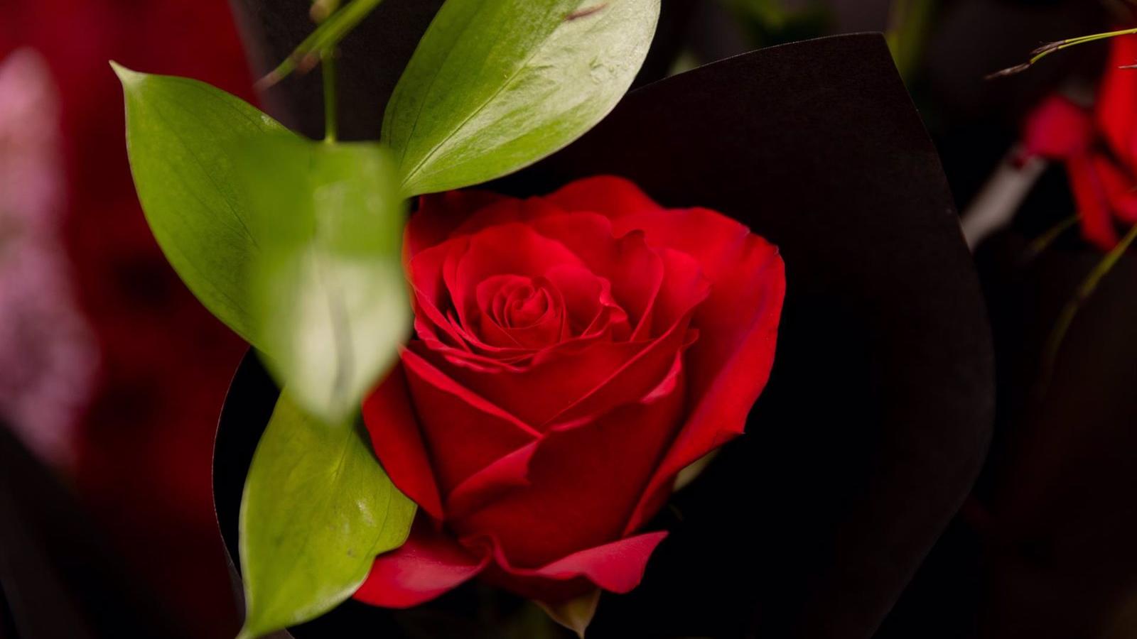 Hasta 46 parejas de Torrejón celebran su San Valentín de Oro tras 50 años de convivencia