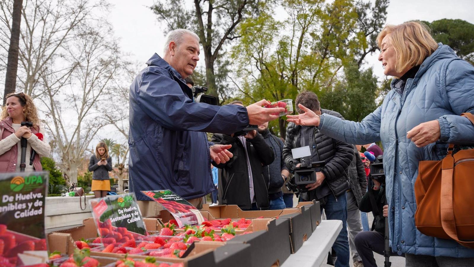 UPA reparte en Madrid más de 2.000 tarrinas de fresas de Huelva "sanas y seguras" 