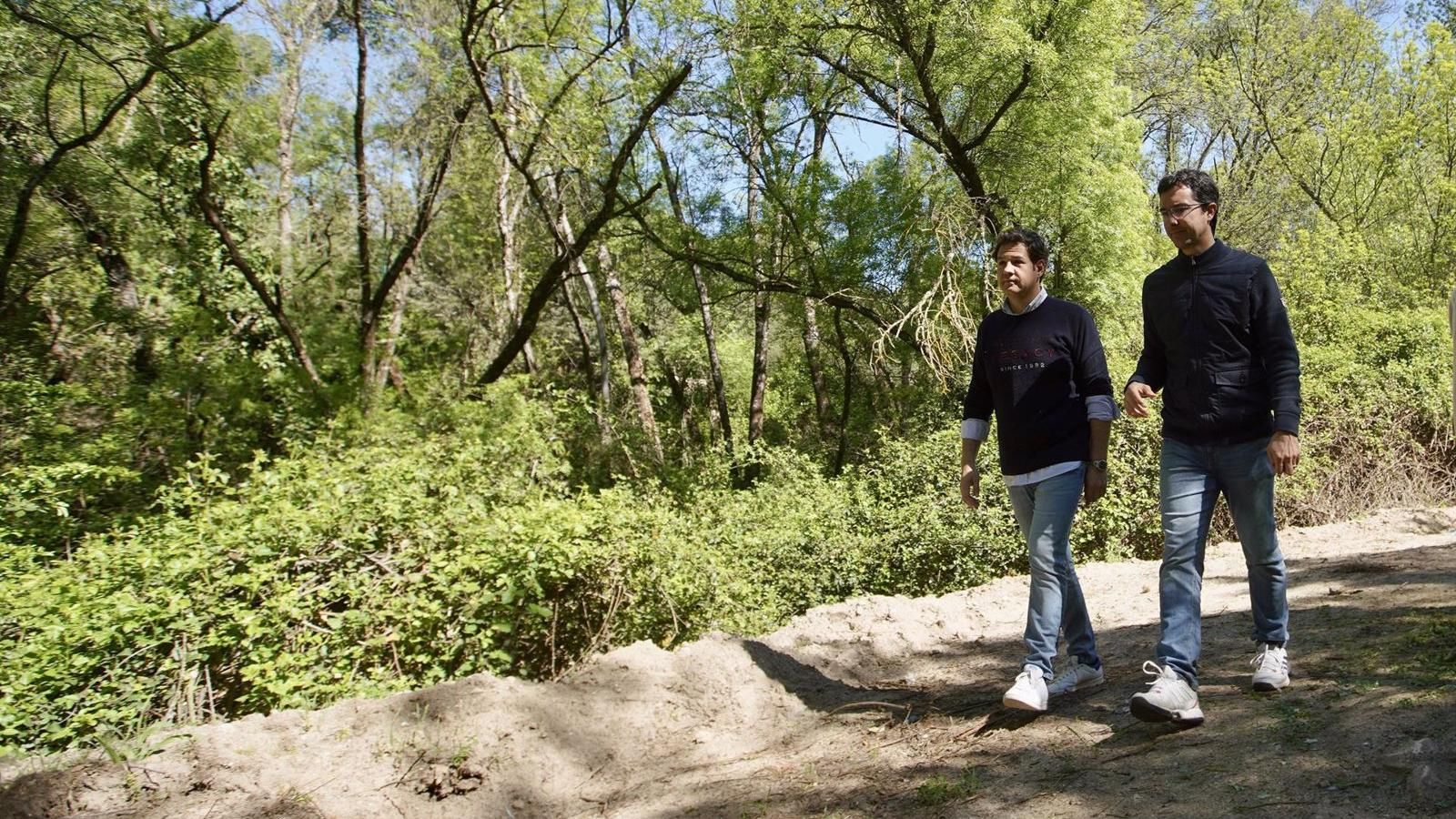 El Ayuntamiento de Las Rozas comienza las labores previas de desbroce en la senda del arroyo Trofa