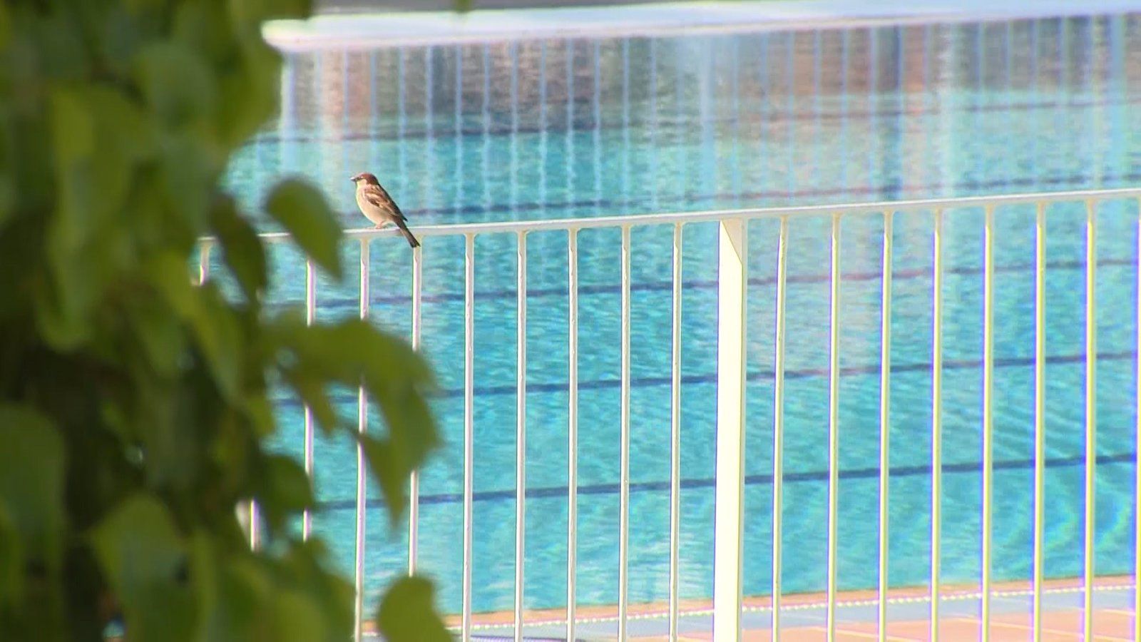Las piscinas de verano de Peñuelas, Vicente del Bosque, Luis Aragonés y Vallecas, cerradas este verano por reformas