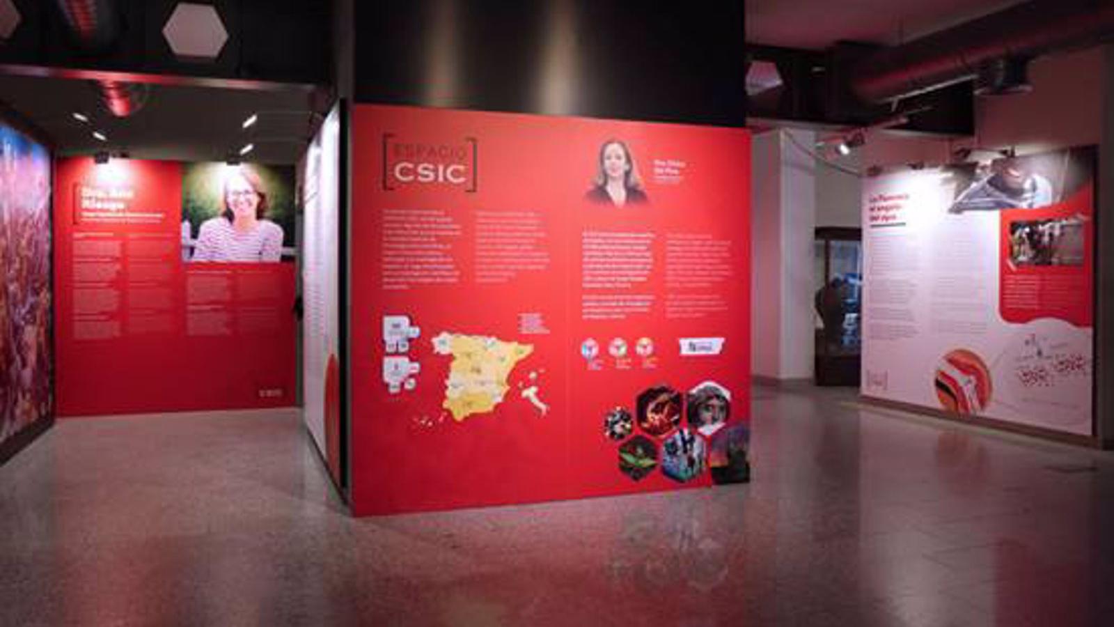 El Museo Nacional de Ciencias Naturales inaugura 'Espacio CSIC' con hallazgos científicos de esponjas marinas y zeolitas