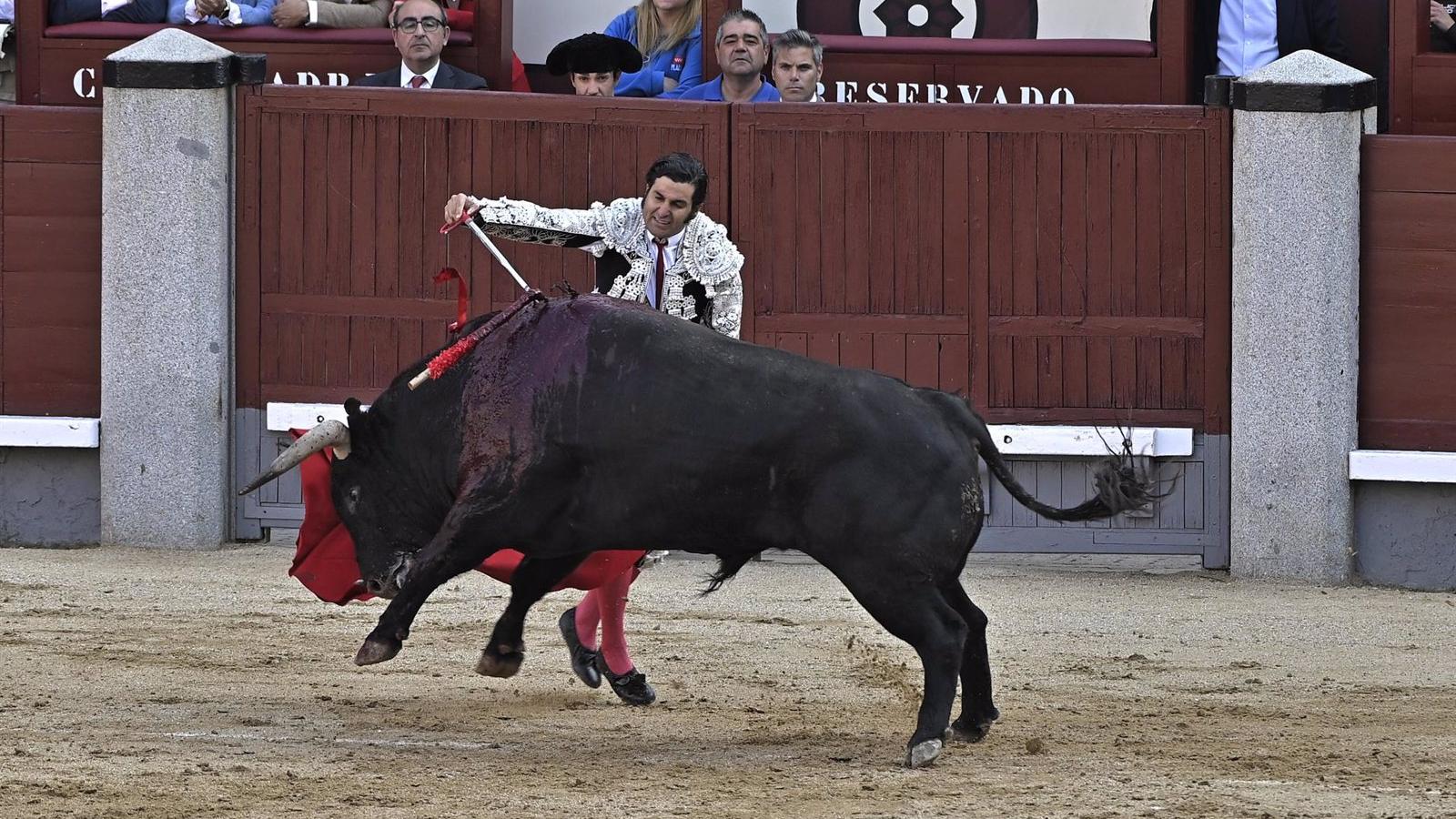 La Comunidad tendrá su propio Premio de Tauromaquia junto a la Fundación Toro de Lidia