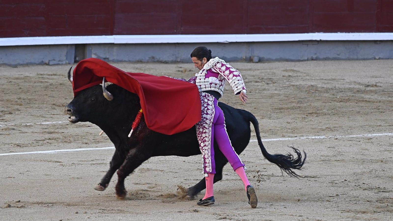 El PP de Madrid defiende la tauromaquia y solicita la continuidad del Premio Nacional