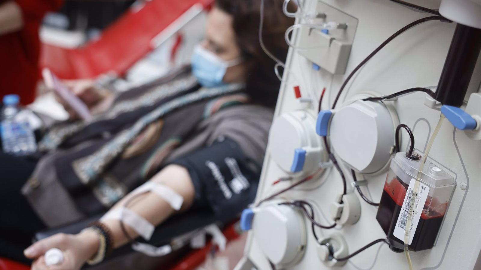 Nuevos puntos de donación de plasma en la Comunidad de Madrid