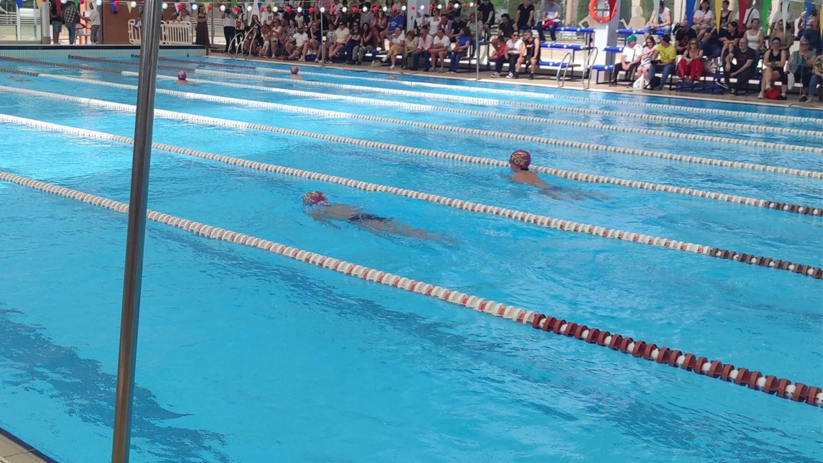 Campeonato infantil Deuco en Torrejón de Ardoz: una fiesta para jóvenes nadadores