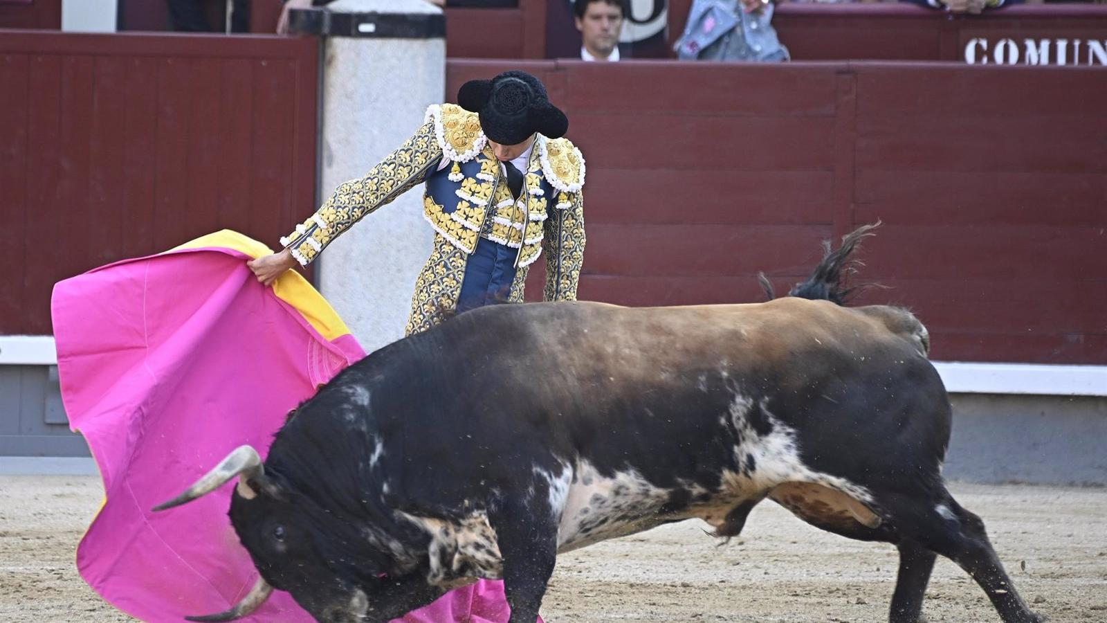El Pleno del Ayuntamiento de Madrid apoya la tauromaquia y exige recuperar el Premio Nacional