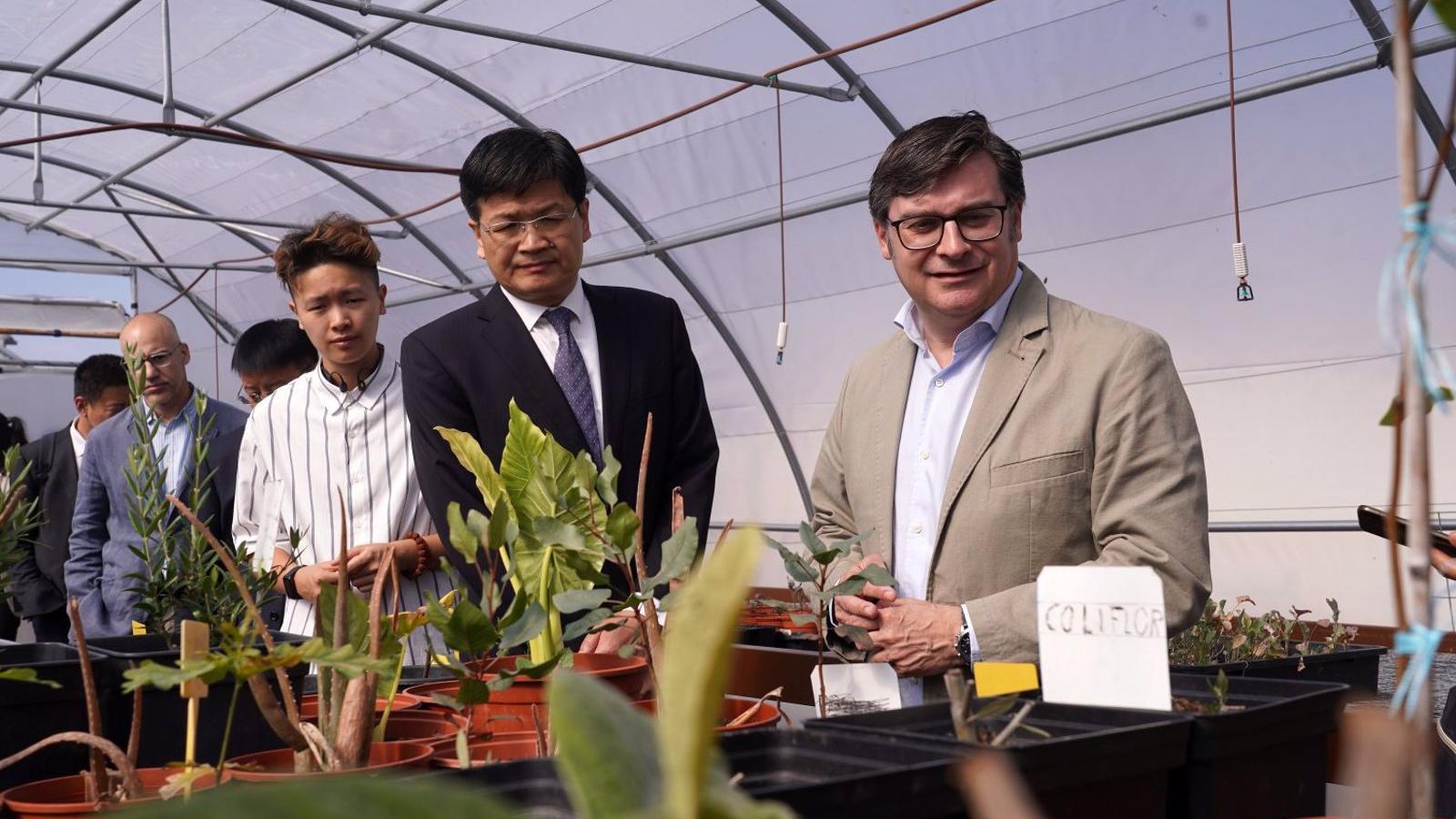 Una delegación china visita una finca formativa en Puente de Vallecas para conocer el proyecto "Barrios Productores"
