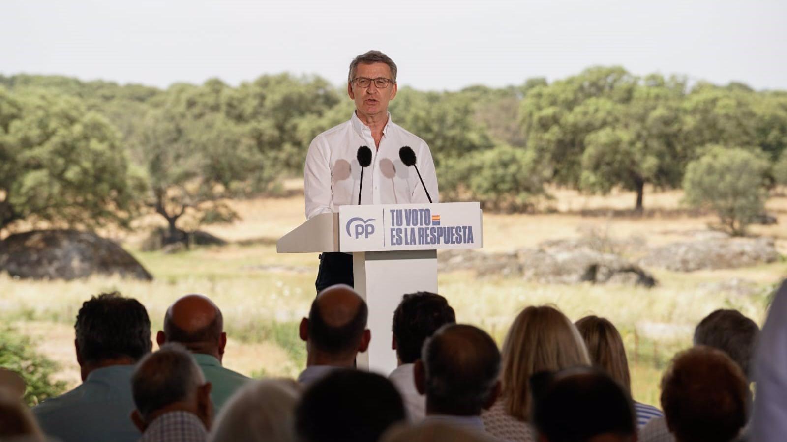 Feijóo llama a la movilización ante la "actitud chulesca" de Sánchez