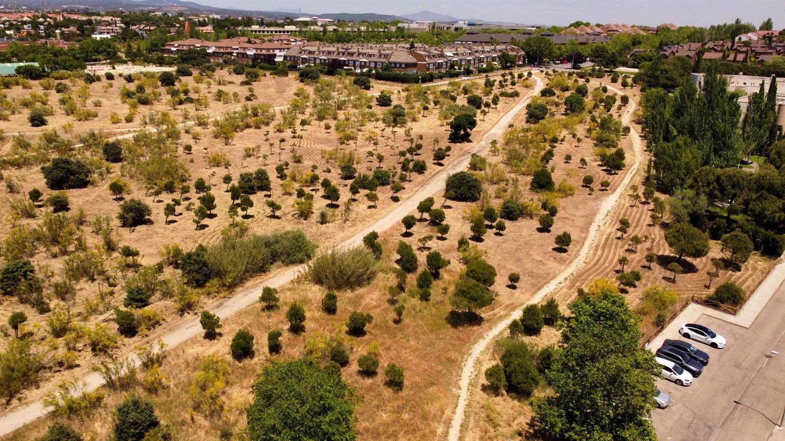 Las Rozas líder en proyectos de absorción de CO2