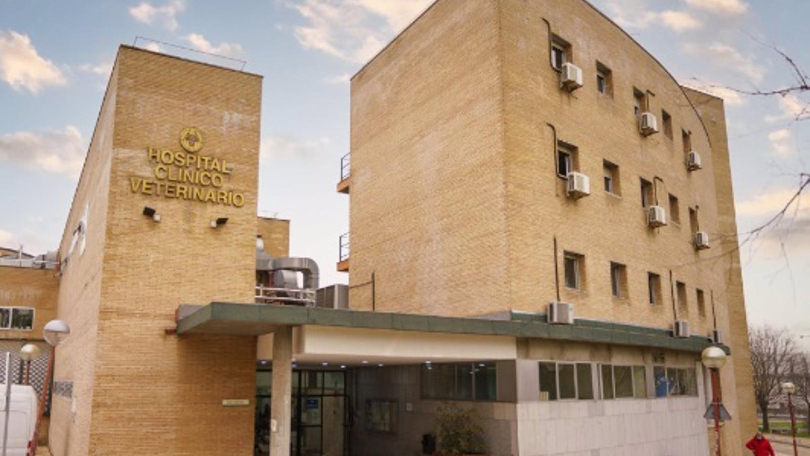 Detenido por violar una cabra en el Hospital Veterinario de la Complutense