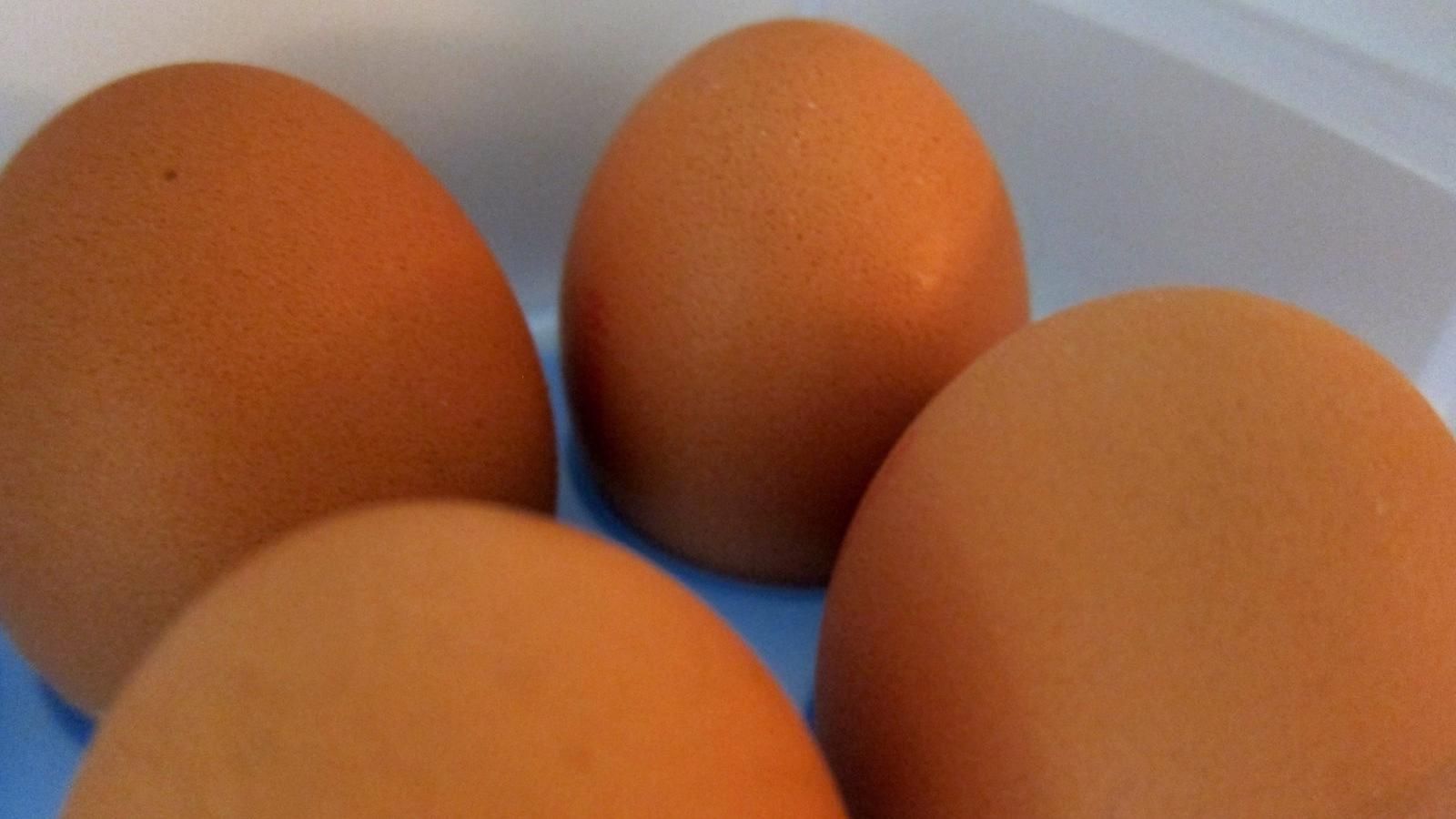  Récord de brotes epidémicos alimentarios y no alimentarios en la Comunidad en 2023