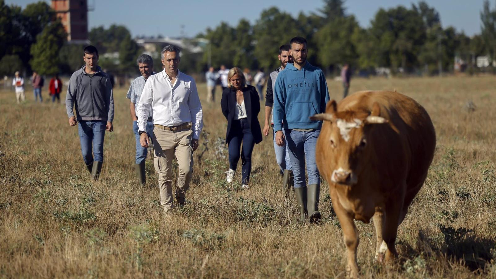 La Comunidad de Madrid incrementa un 56% las ayudas a jóvenes agricultores y ganaderos