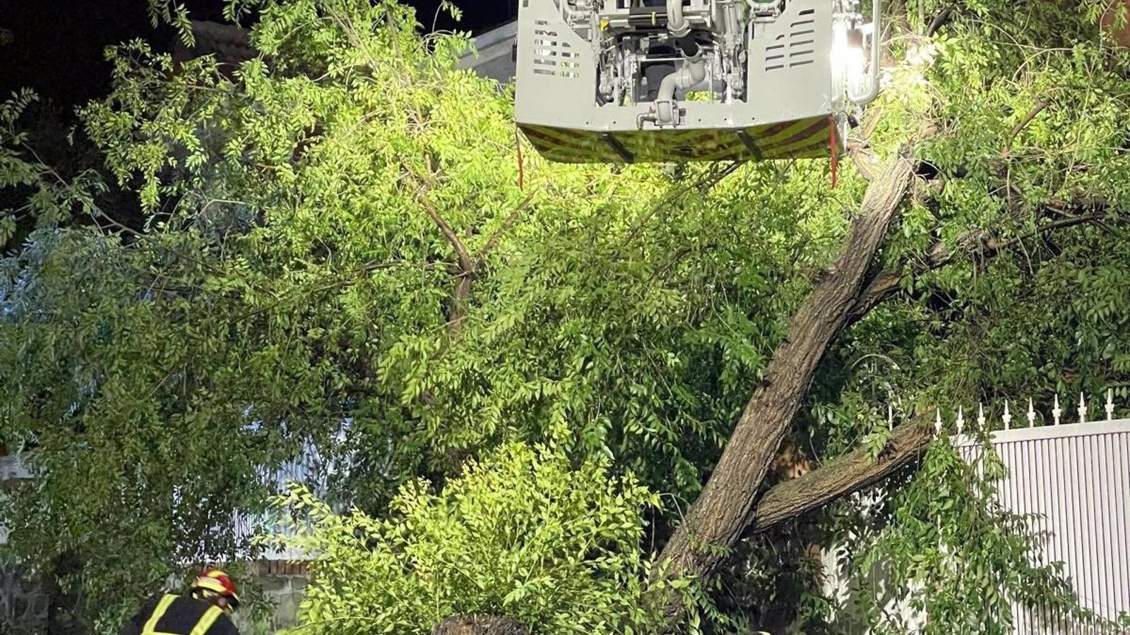 Varias intervenciones de los bomberos de la región  por la fuerte tormenta en Madrid
