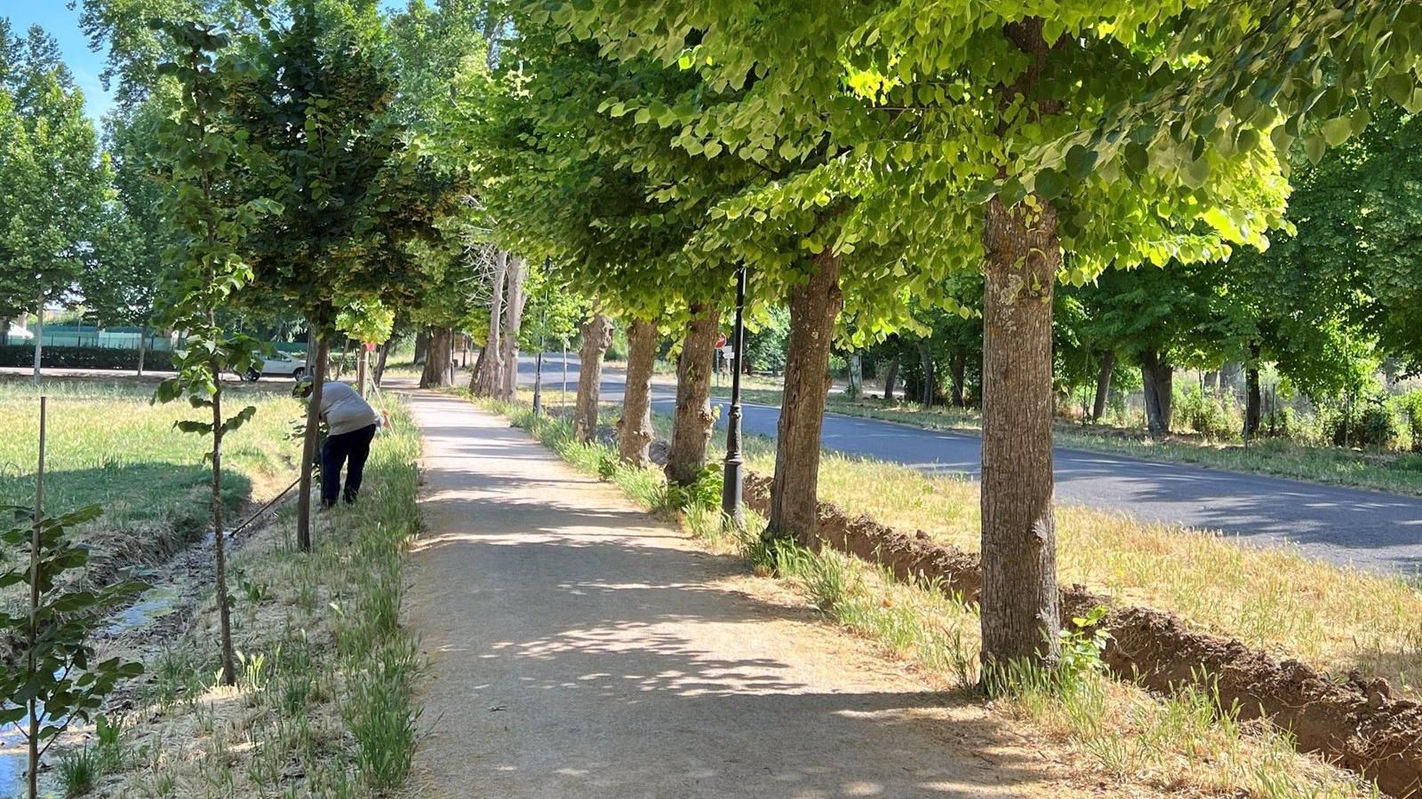  La Comunidad de Madrid destina 1,5 millones de euros anuales para el patrimonio natural de Aranjuez