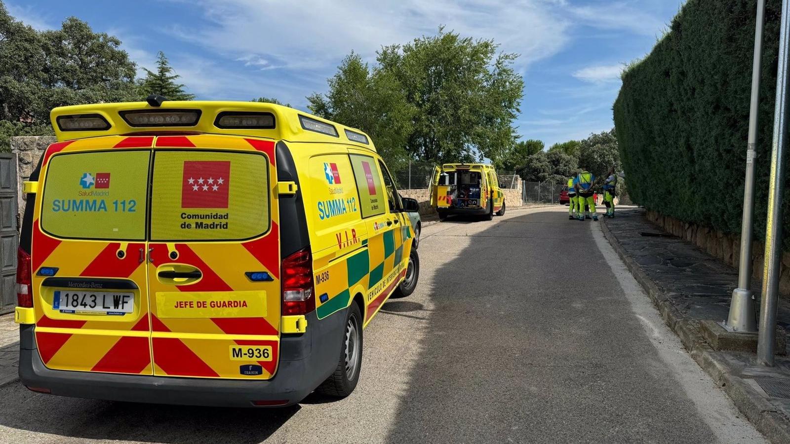Hombre hospitalizado de gravedad tras mordedura de víbora en Valdemorillo