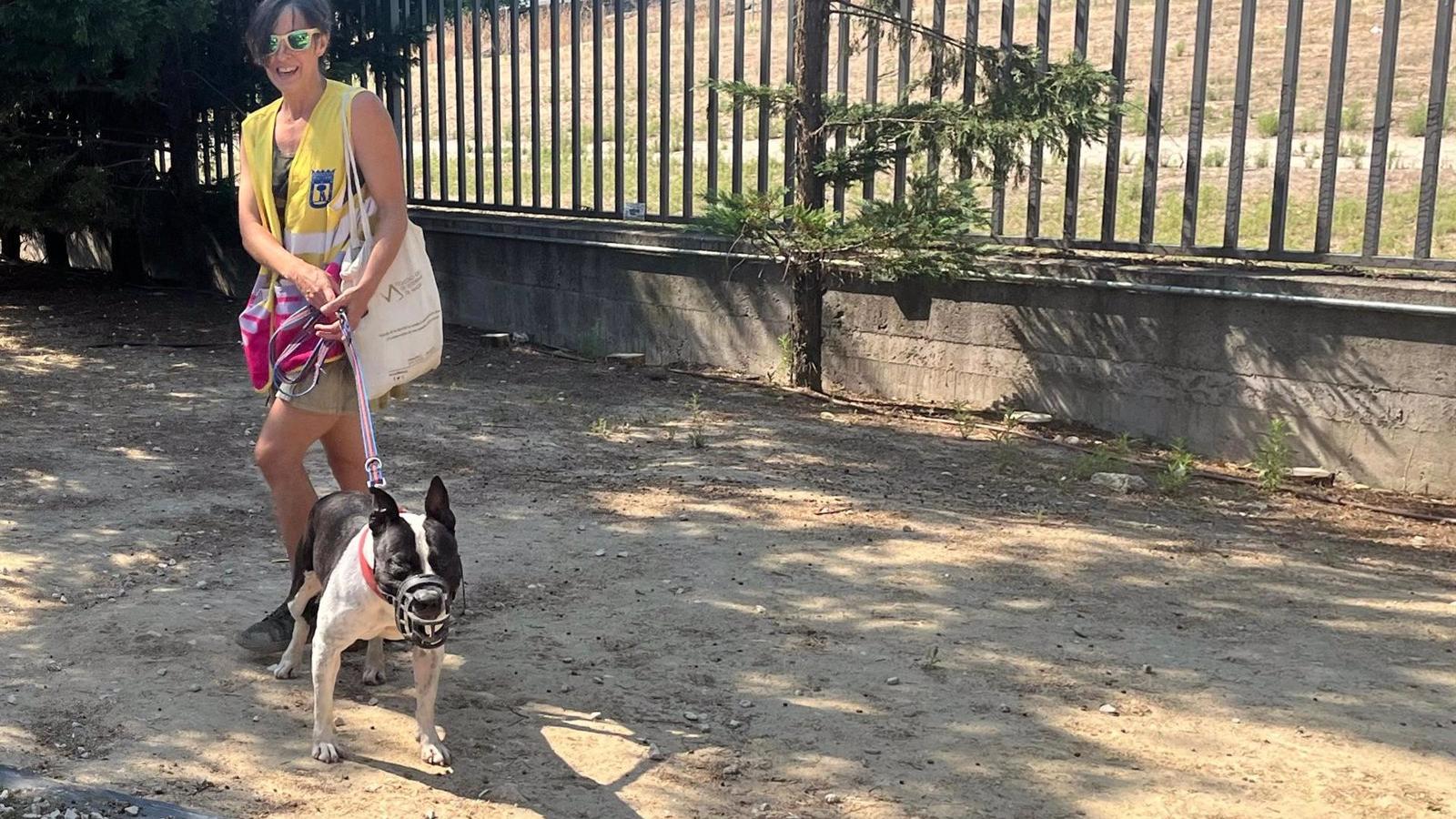 Voluntarios por Madrid: compromiso con el bienestar animal
