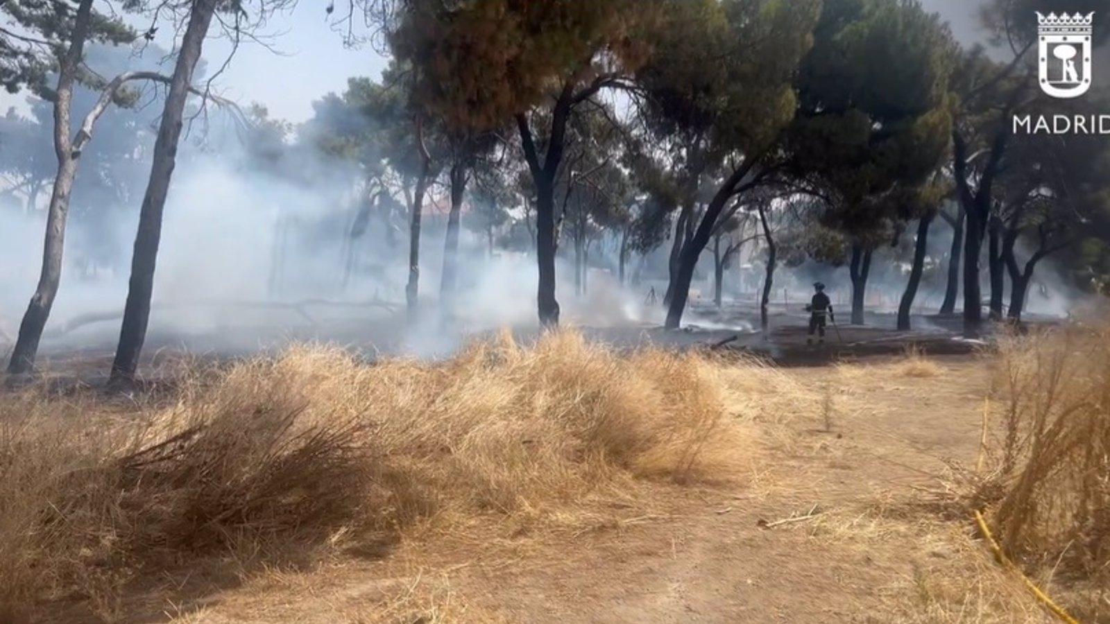 Los bomberos controlan el incendio del pinar de un sanatorio de la avenida de los Poblados