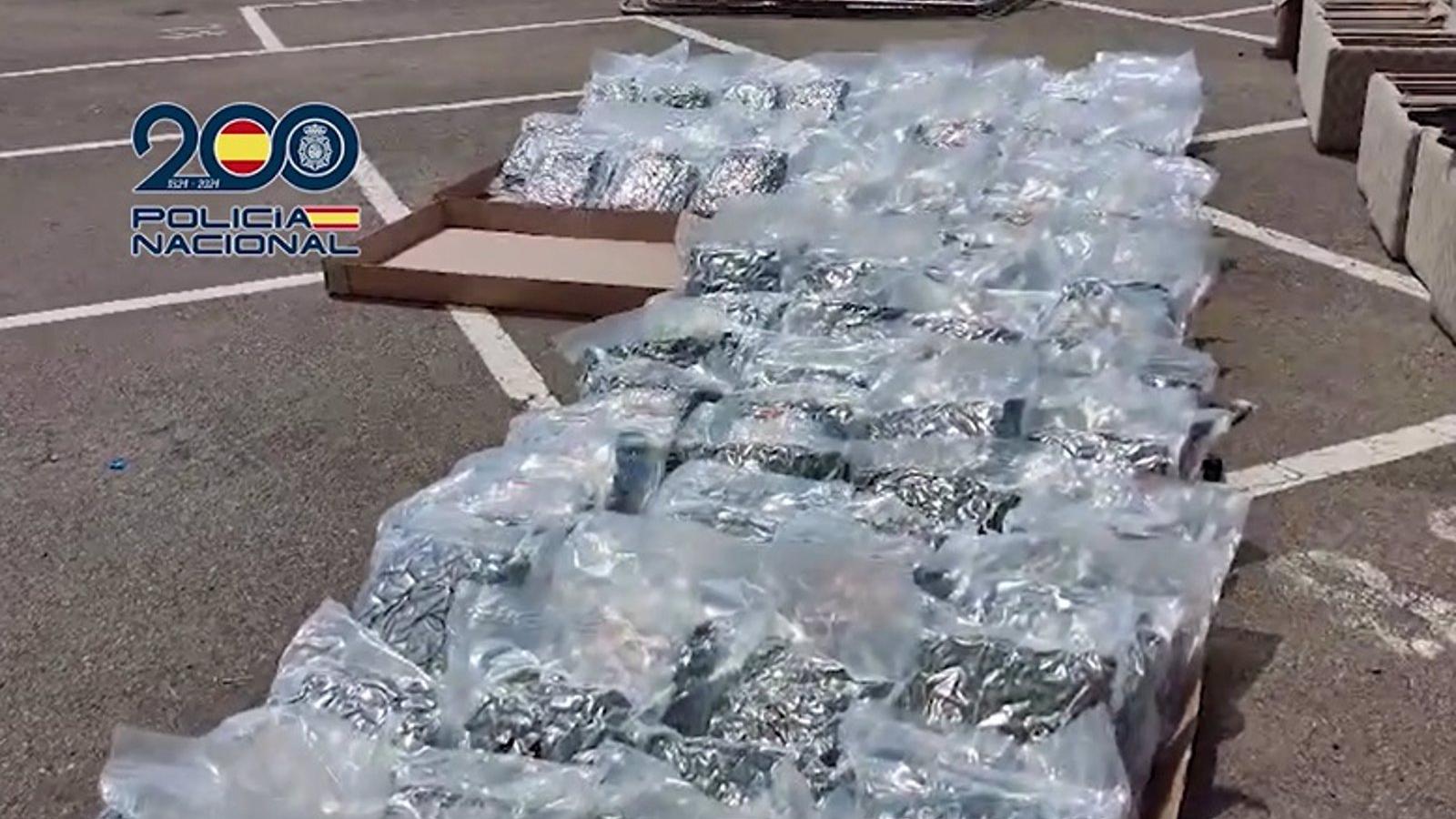 Desarticulada una red de envío de marihuana en la Comunidad de Madrid