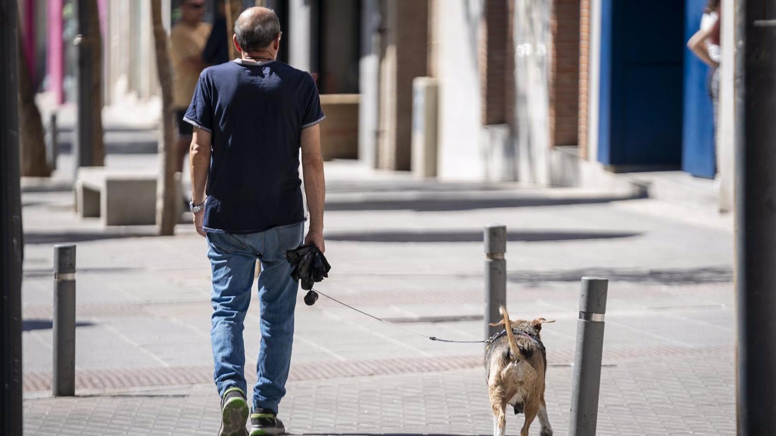 Detenido un hombre en Lavapiés por agredir al dueño de un perro tras negarle un hueso