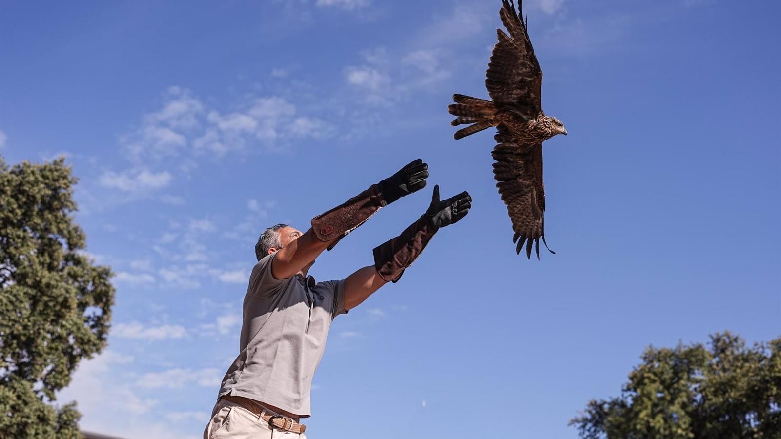 El Centro de Recuperación de Animales Silvestres atendió 4.698 animales heridos en el primer semestre
