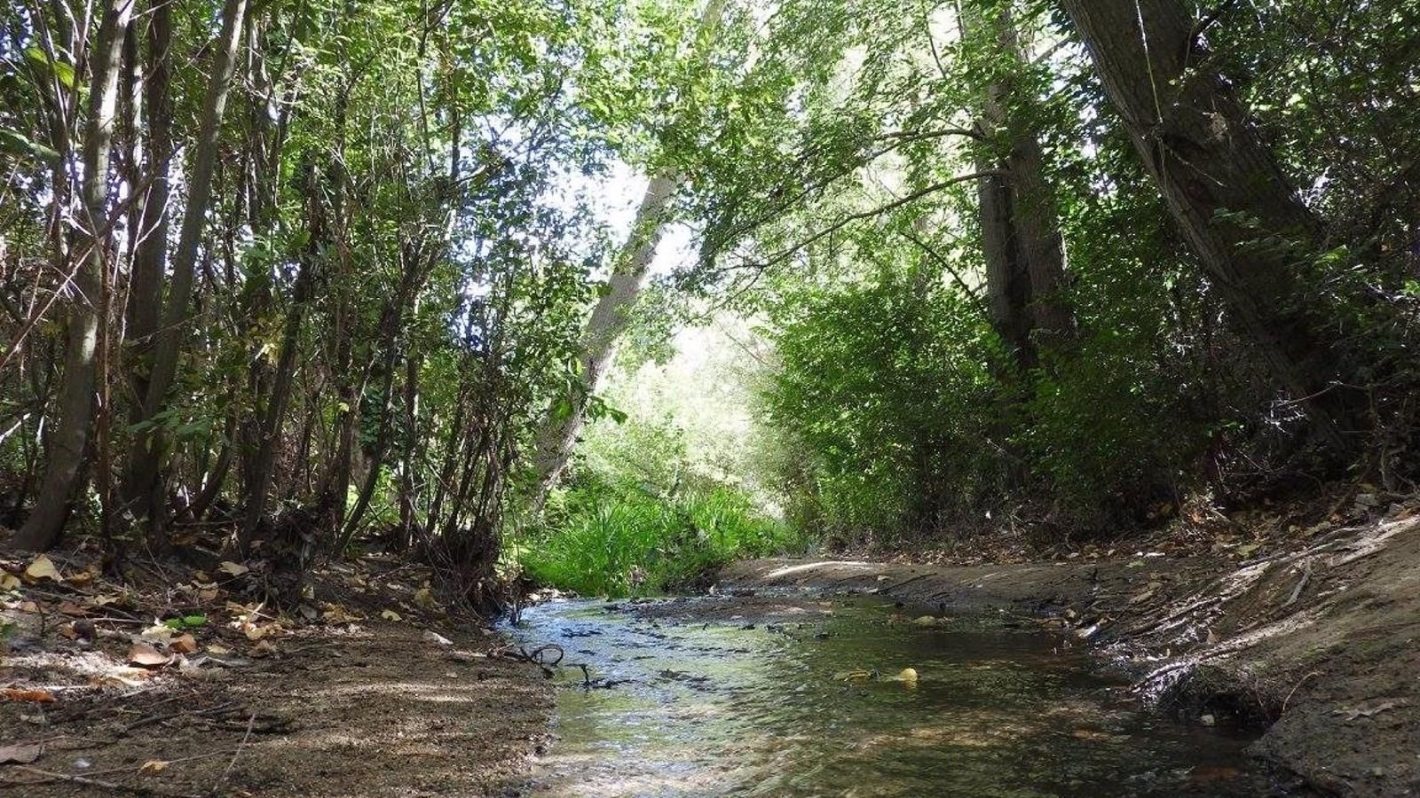 Identifican 15 áreas degradadas en Madrid con alto potencial de restauración ecológica