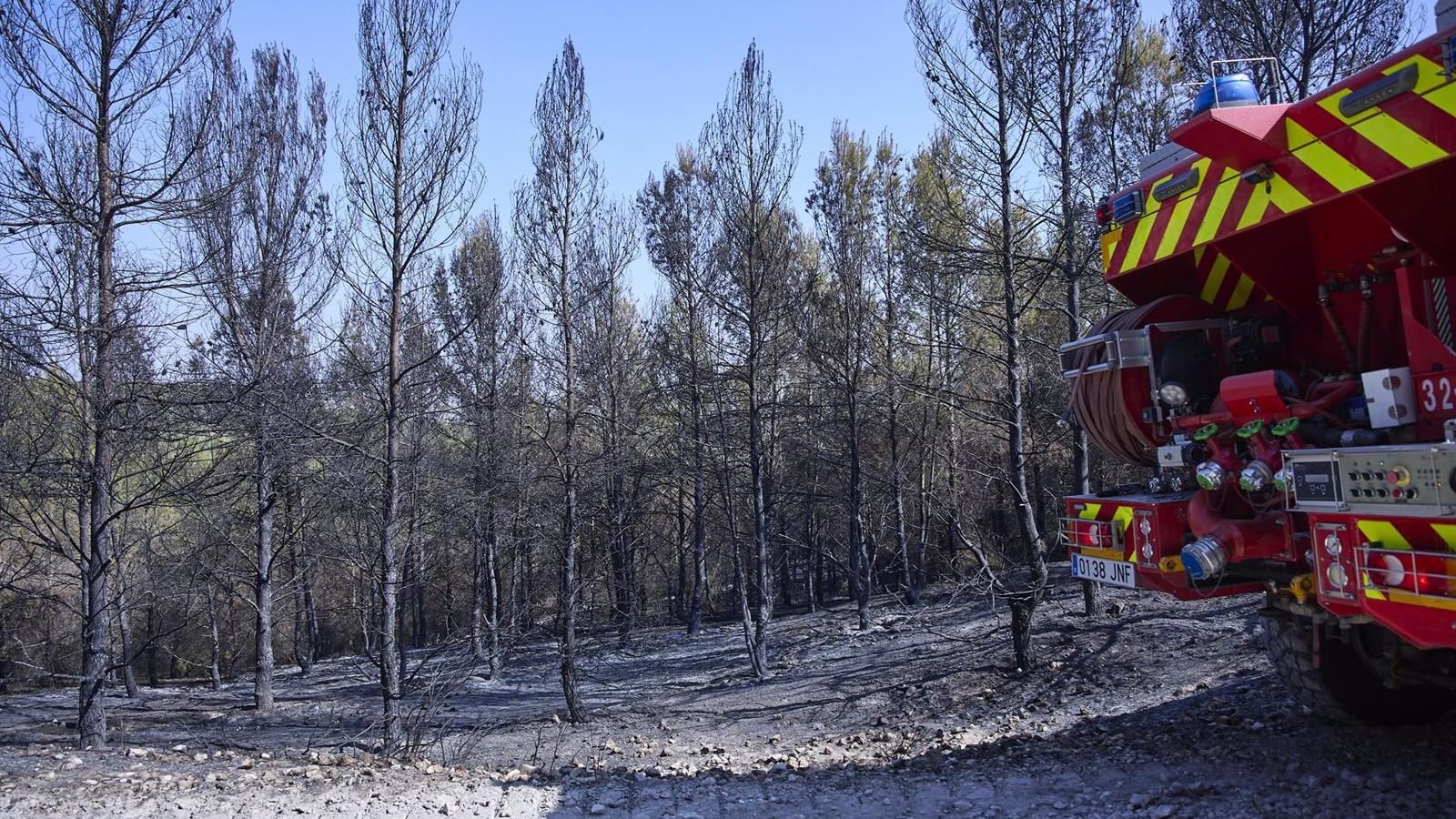 Estabilizado el incendio en Rivas-Vaciamadrid tras afectar 11 hectáreas y obligar a desalojos preventivos