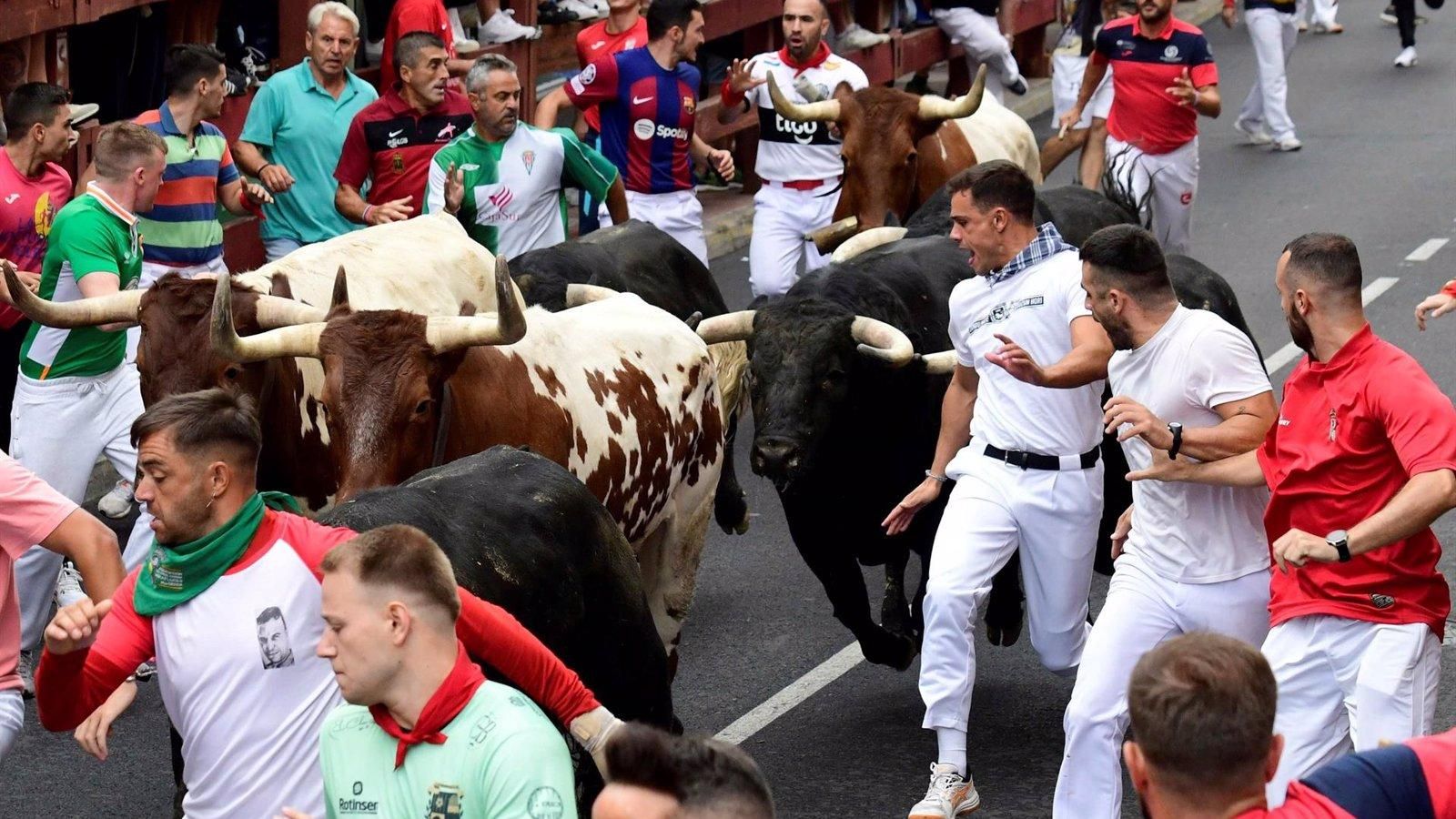 Nueve heridos en el quinto encierro de San Sebastián de los Reyes