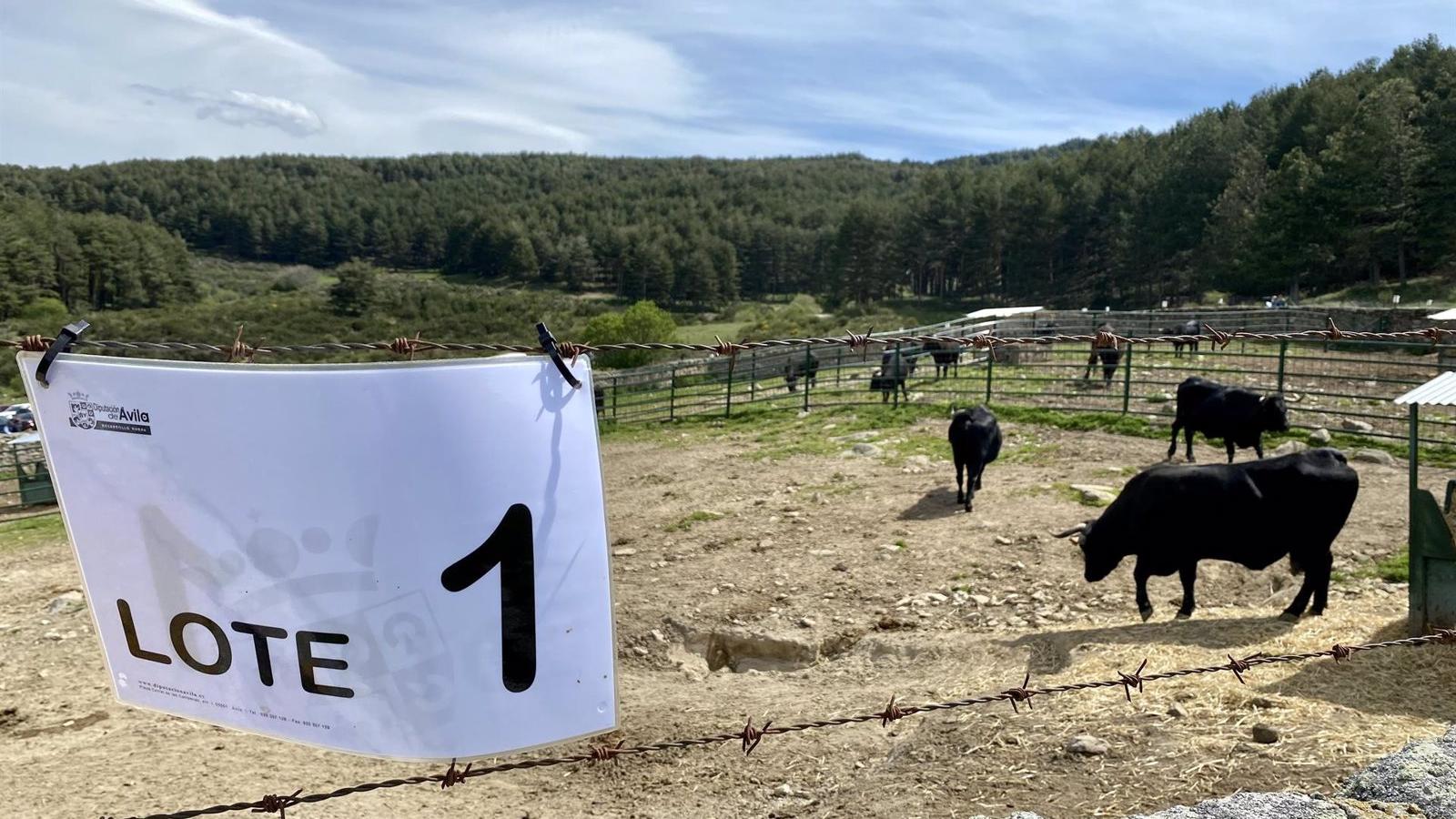 La Comunidad de Madrid abre el plazo para solicitar ayudas a la conservación de razas ganaderas autóctonas