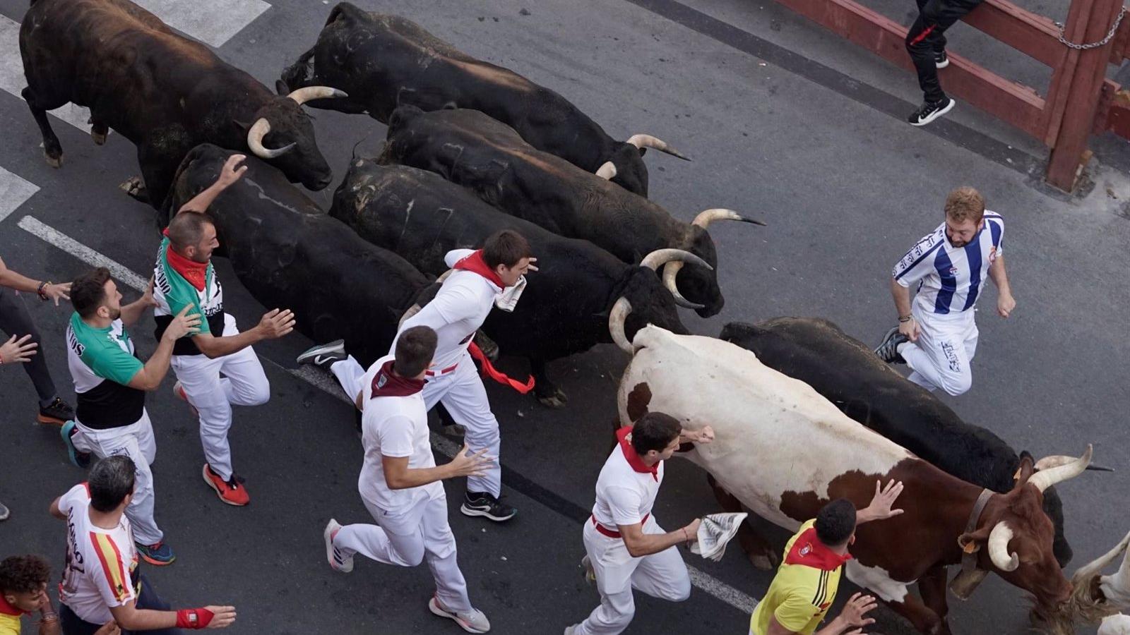 Dos heridos leves por asta de toro en los encierros de Sanse