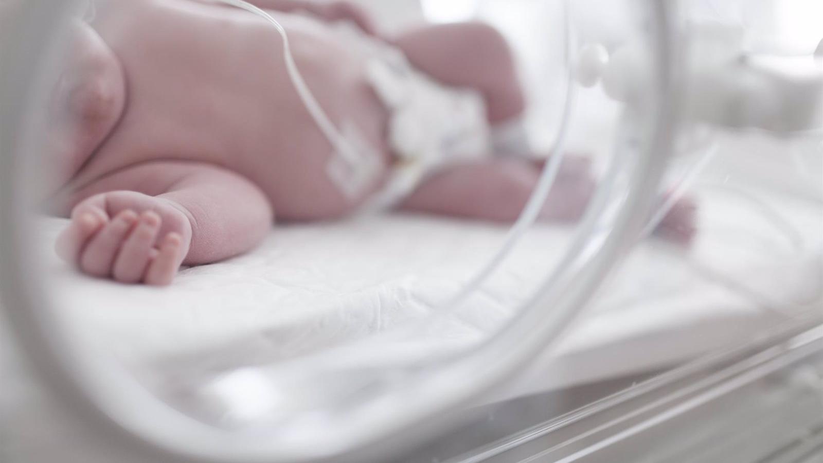 Majadahonda incrementa un 14,75% las ayudas por nacimiento o adopción