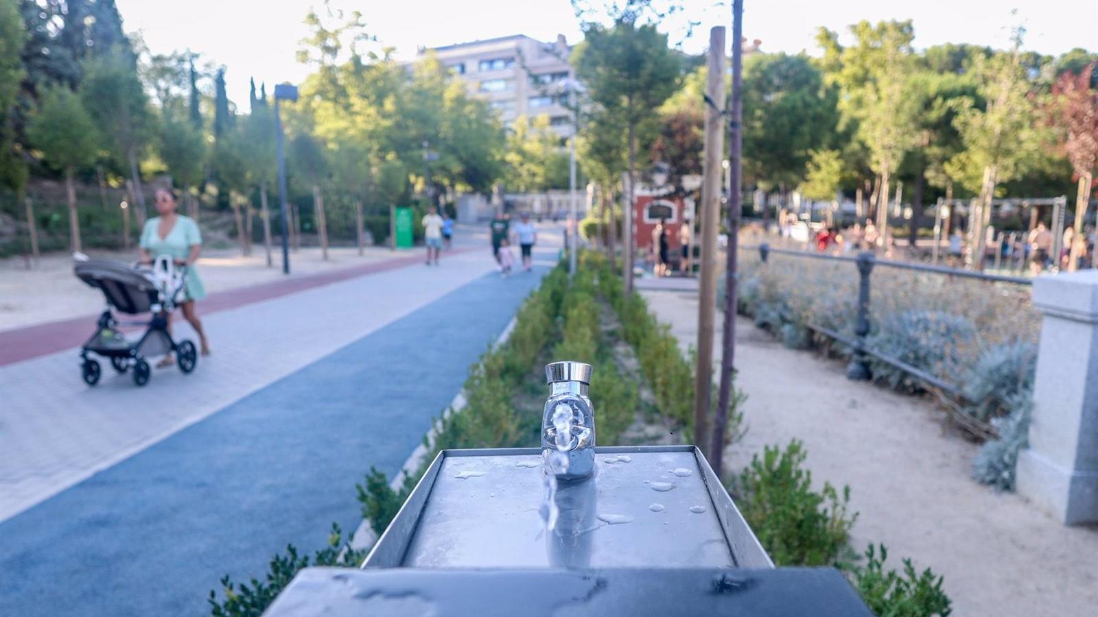 Reforma integral de las instalaciones deportivas del Canal en 2025