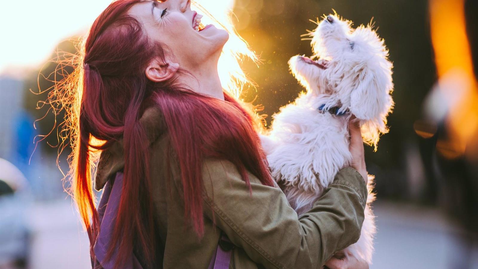 Ayuso anuncia dos apps móviles para jóvenes y mascotas en 2025