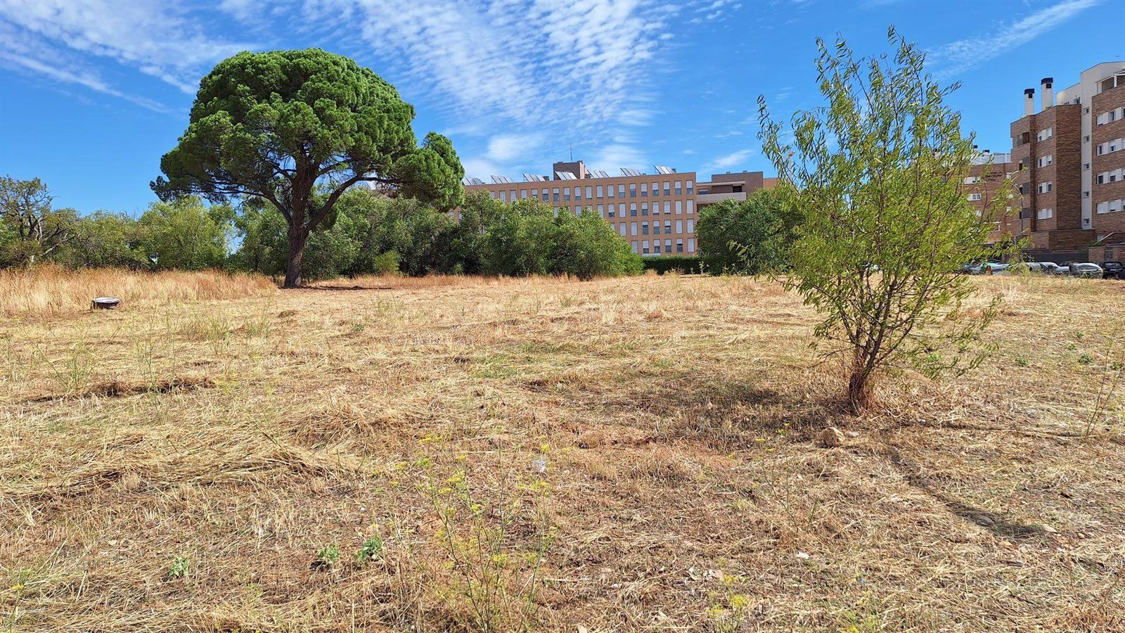 Alcalá de Henares aprueba las obras de una nueva área pública en El Olivar