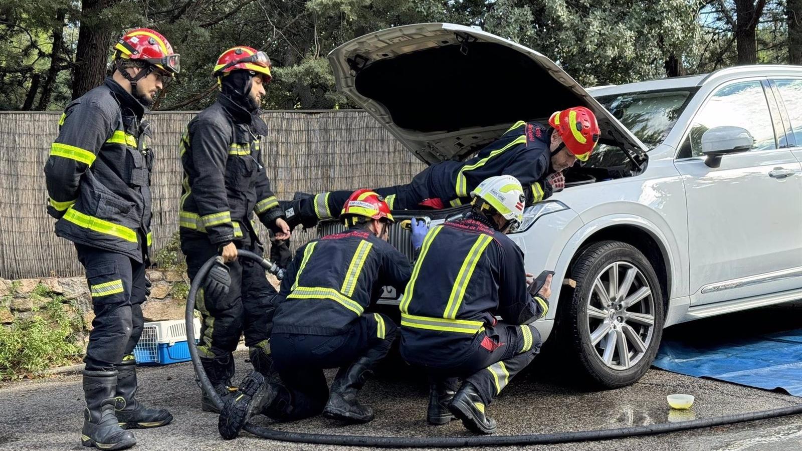 Rescatan a una gata atrapada en el motor de un coche en Boadilla