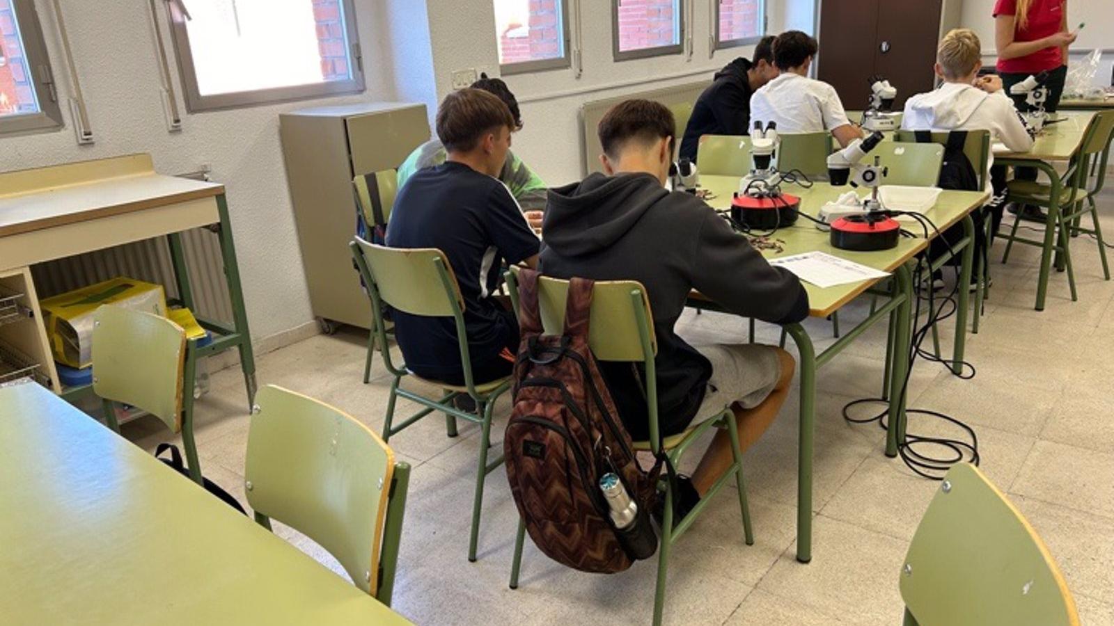 271 estudiantes participan en talleres para la conservación de la flora amenazada en el Real Jardín Botánico