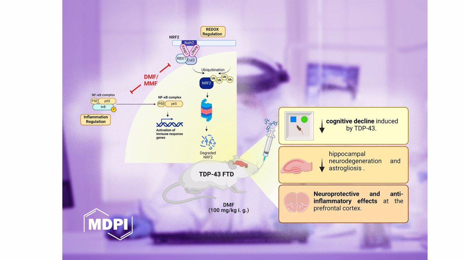 El dimetil fumarato muestra potencial para tratar la demencia frontotemporal