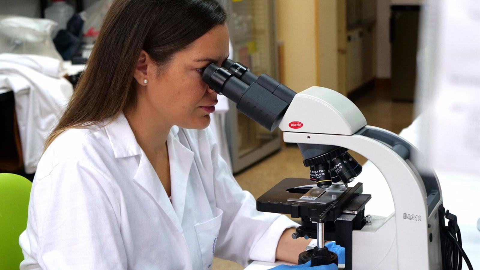 La Comunidad de Madrid otorga los Premios de Investigación 2024