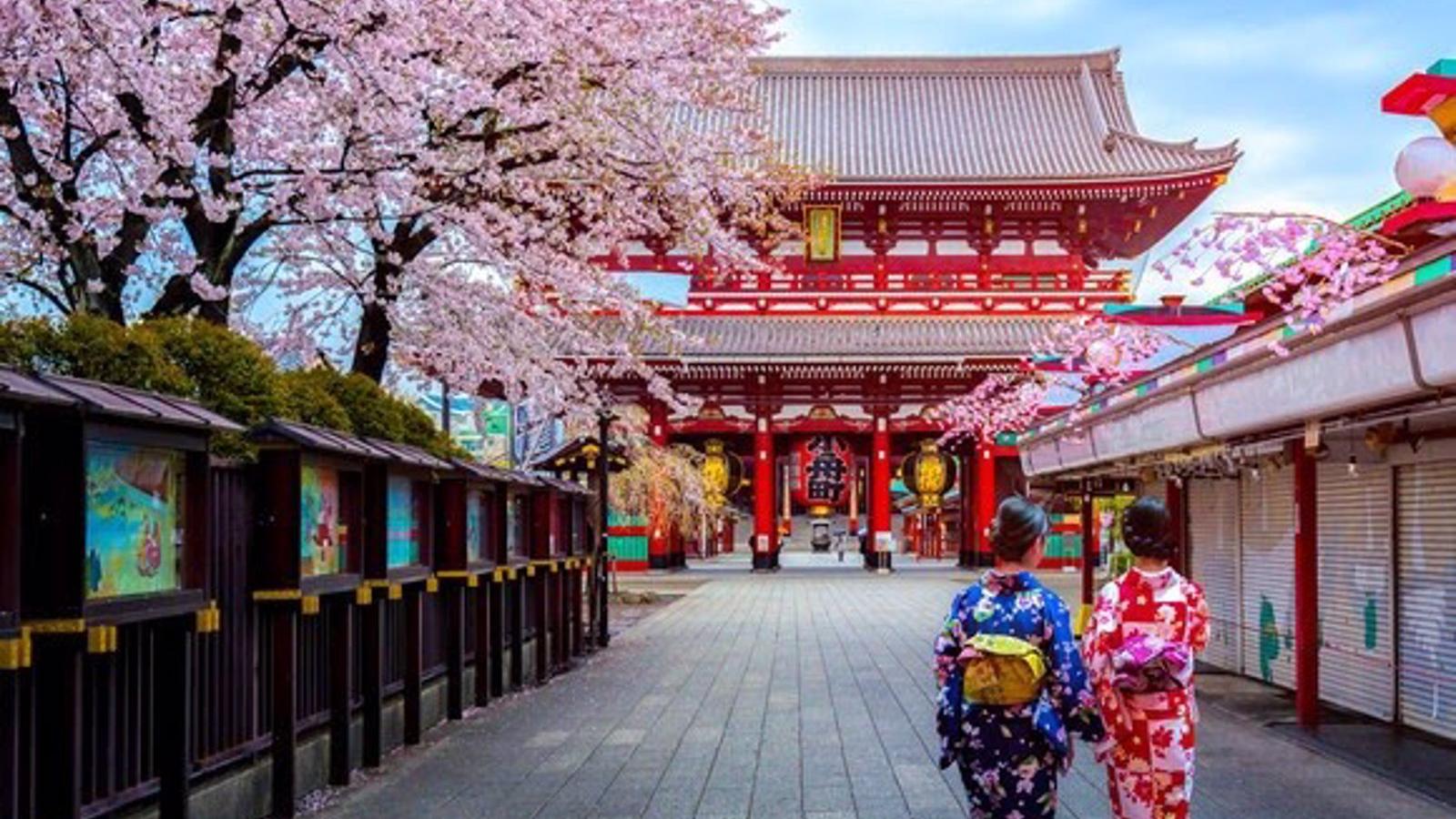 La nueva ruta Madrid-Tokio generará un impacto económico de 100 millones