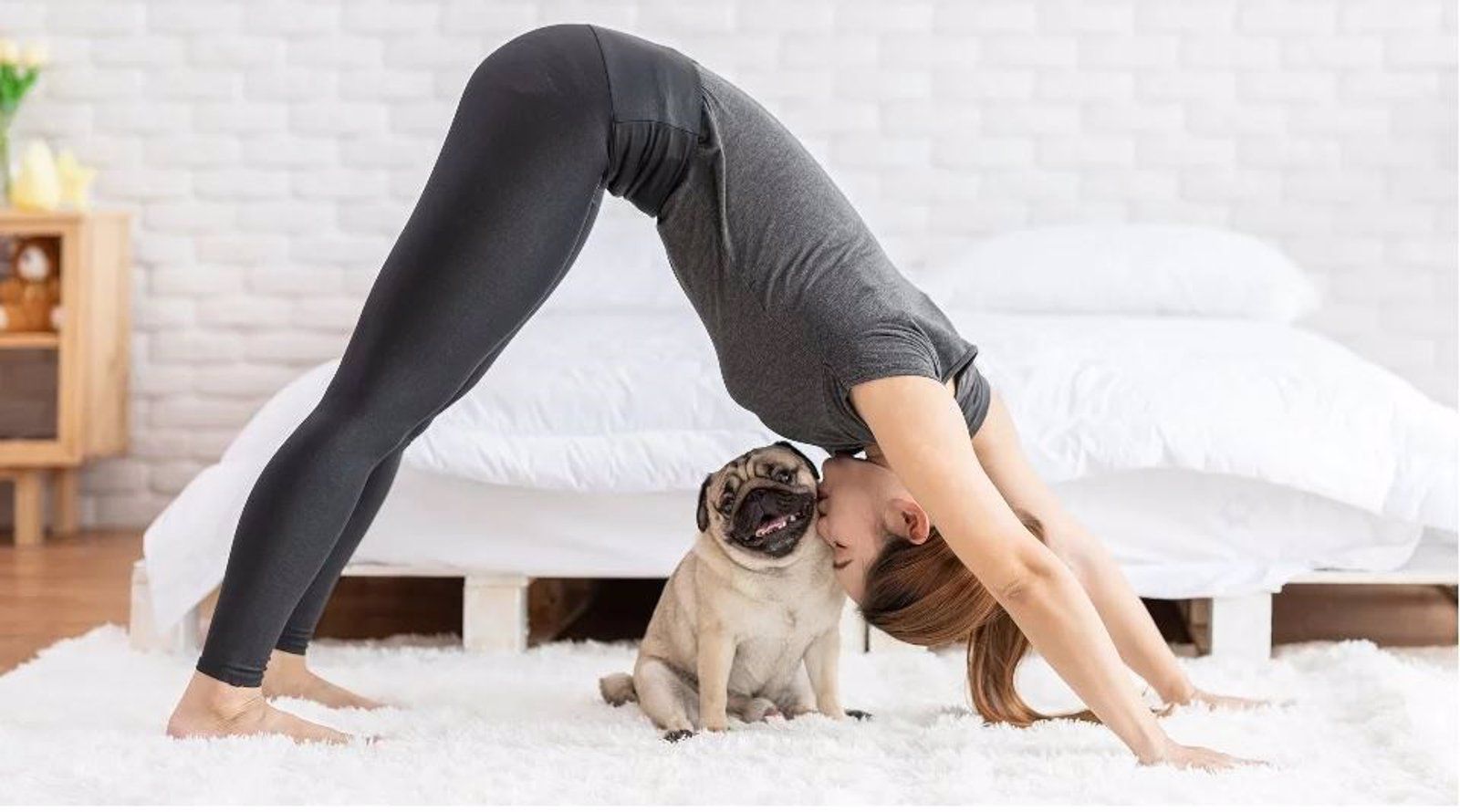 La Policía Municipal de Madrid descubre irregularidades en sesiones de yoga con cachorros