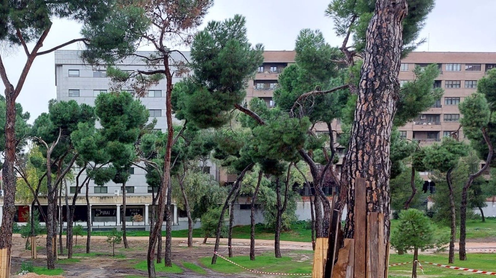 El Pinar del Rey y el Pinar de la Elipa se renuevan con cerca de 600 árboles y nuevos espacios para los vecinos