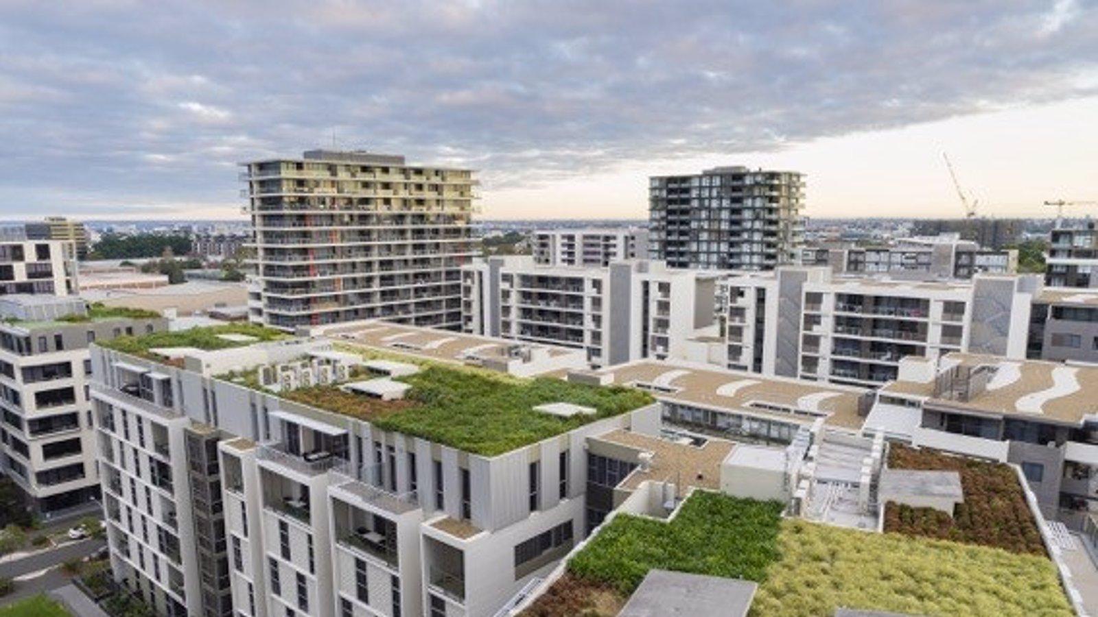 La capital da luz verde a un plan de azoteas verdes para 'reverdecer' los tejados de Madrid