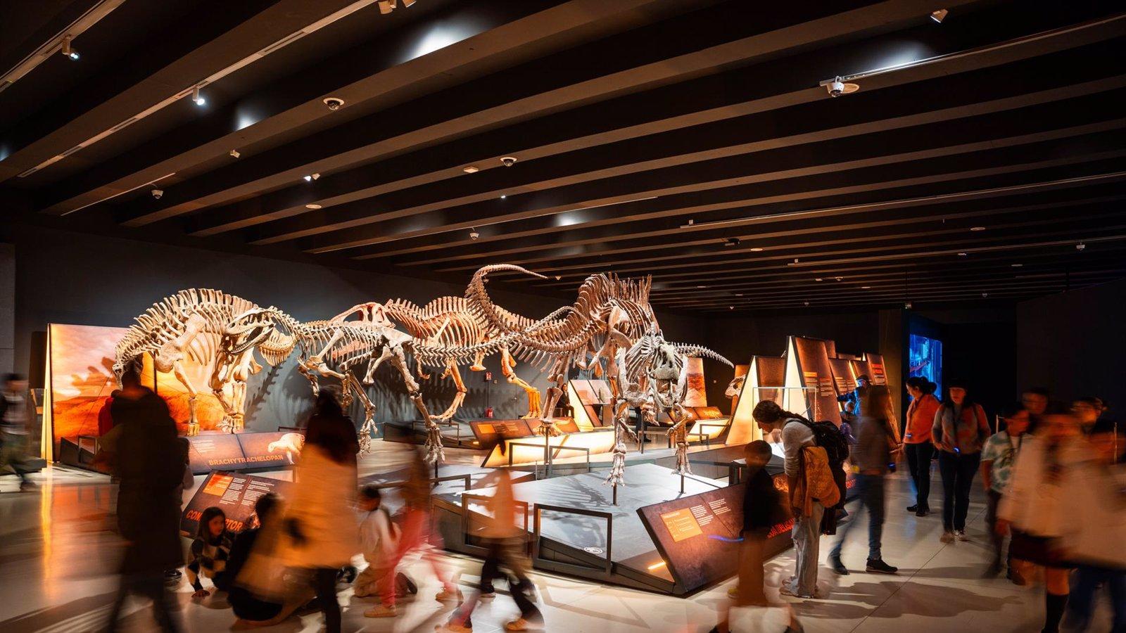 Las exposiciones de CaixaForum Madrid recibieron 947.642 visitantes en 2024
