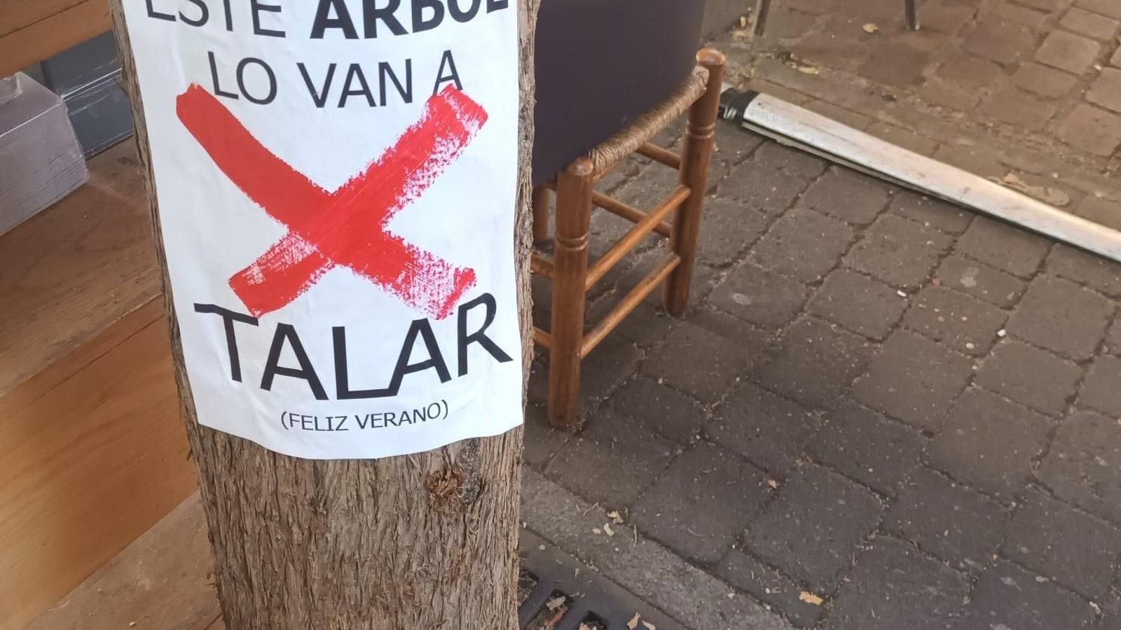 El Ayuntamiento asegura que la tala en la plaza de Santa Ana se limitará "al mínimo posible"