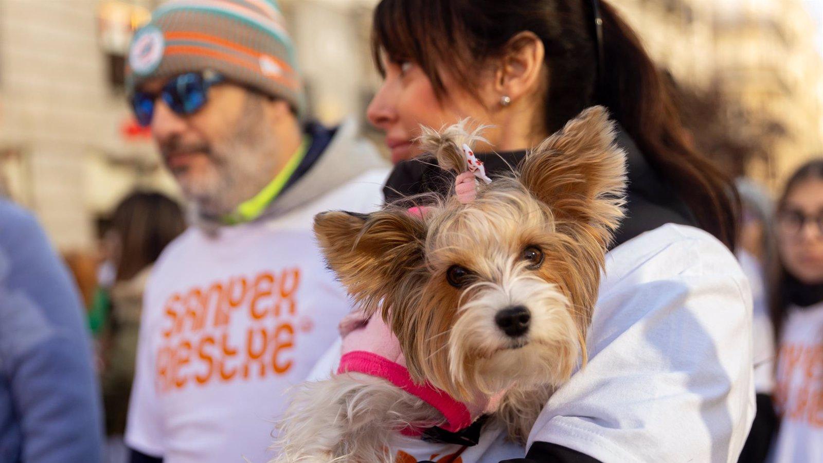 La Comunidad destina 900.000 euros en ayudas a asociaciones que cuidan animales de compañía