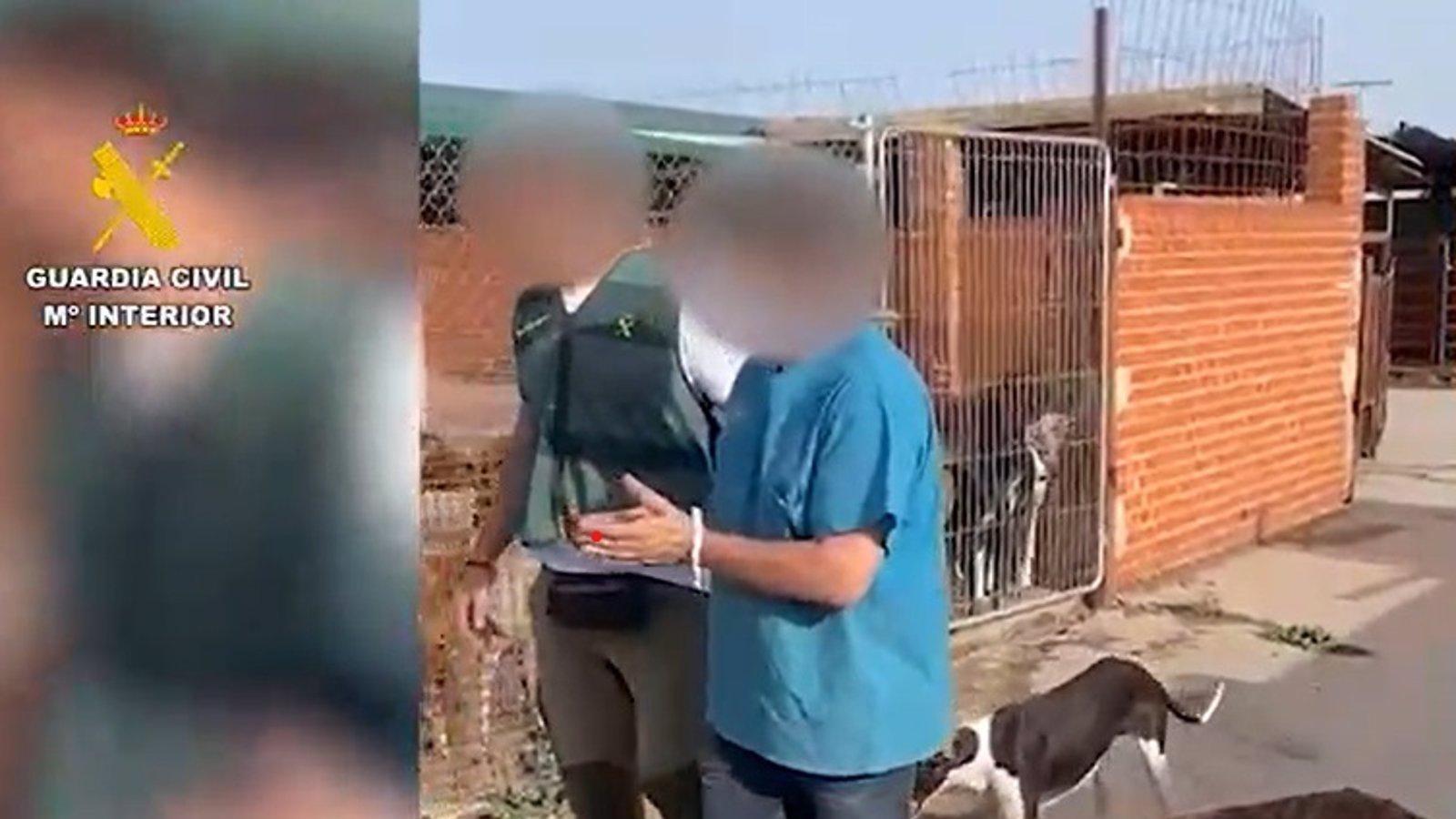 Investigan a un hombre tras rescatar once perros desnutridos en Cadalso de los Vidrios
