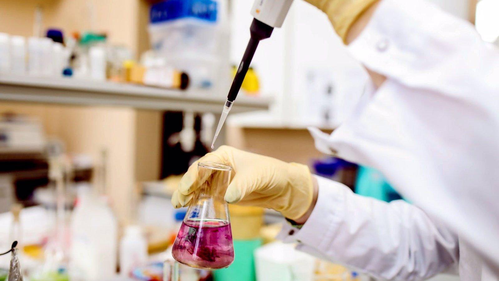 Aumenta un 36% la inversión para avances científicos