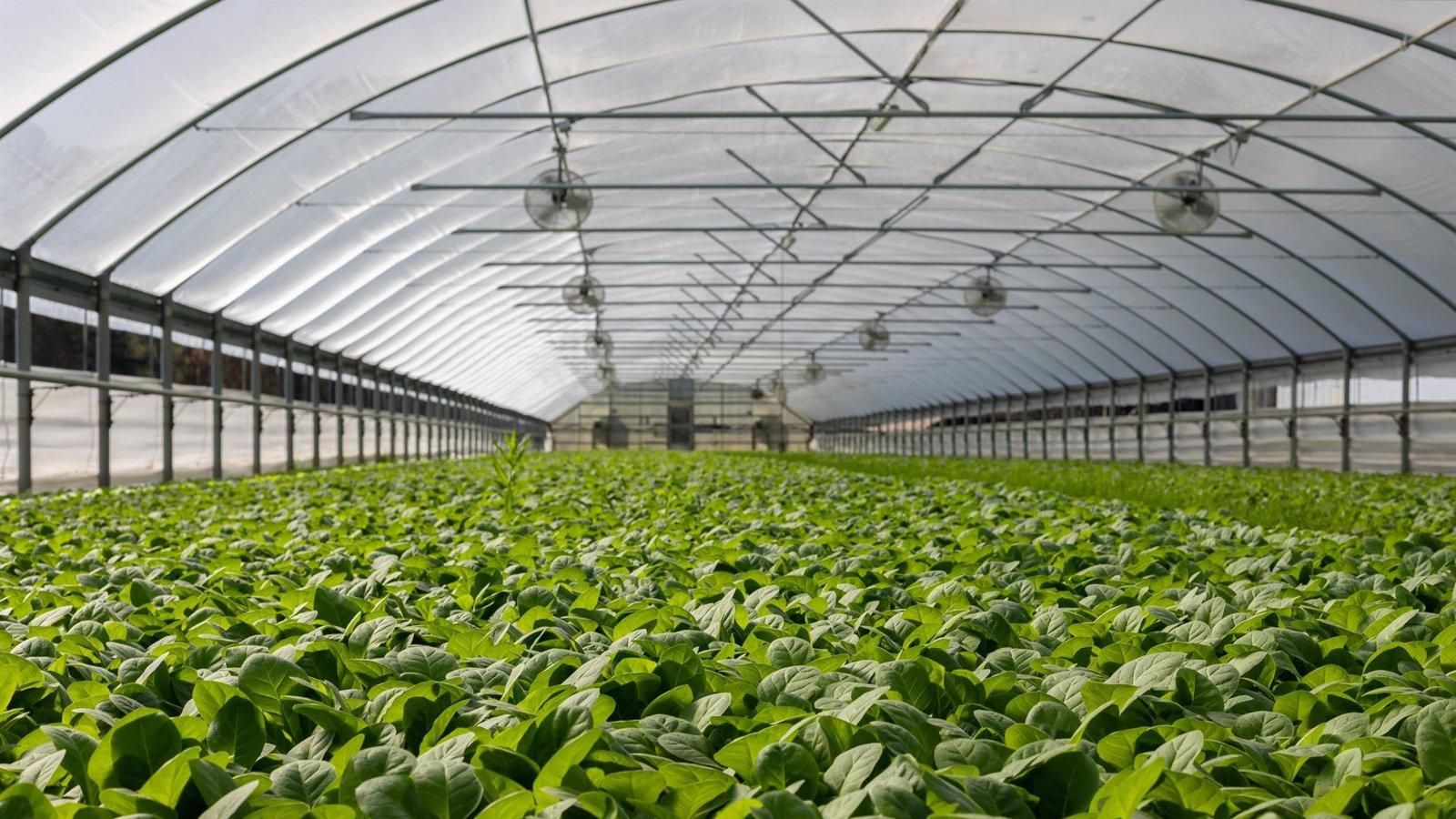 Madrid impulsa la inversión agroalimentaria con 4,2 millones en ayudas