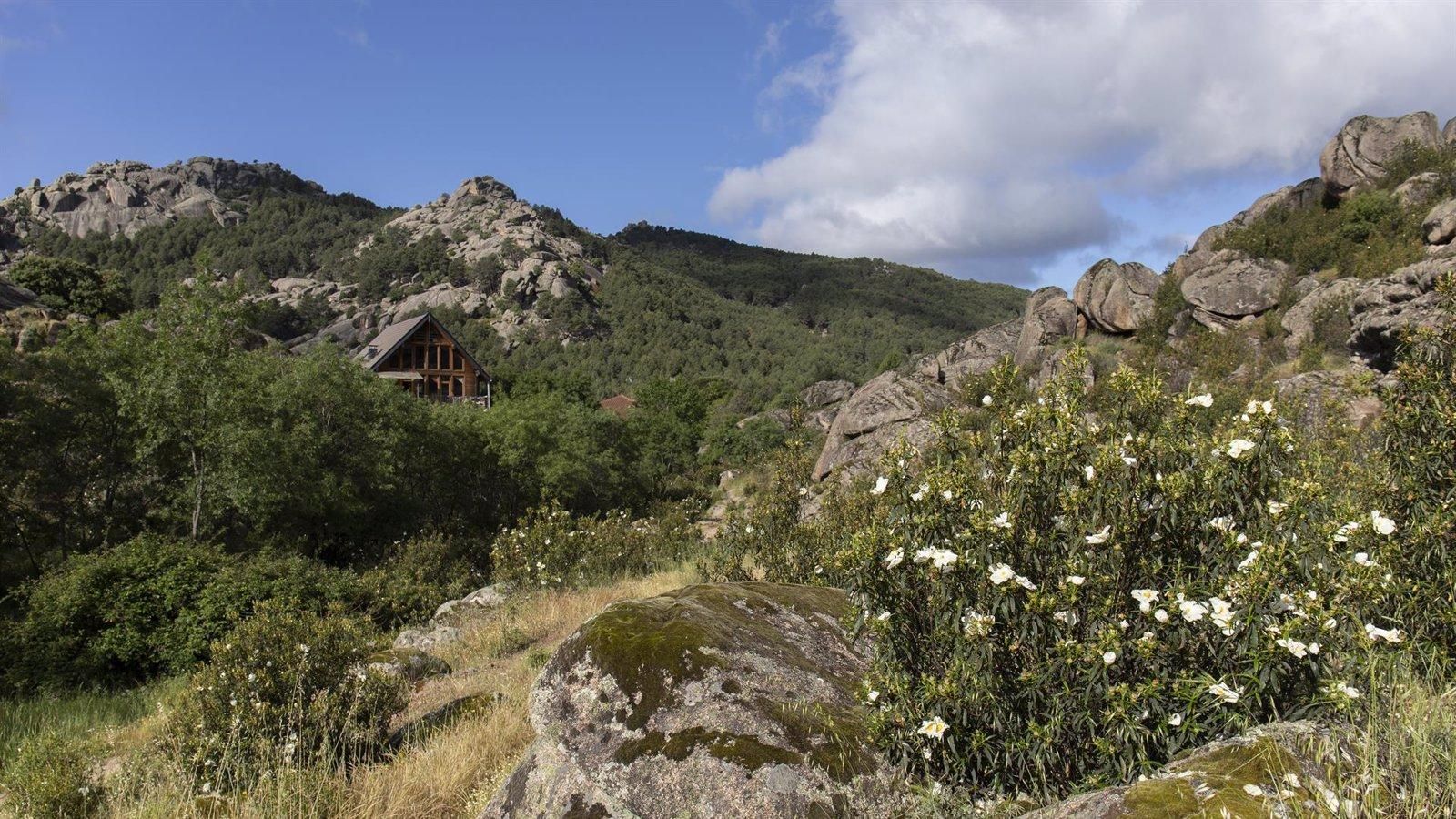 Más de 50 solicitudes en un mes para las ayudas al comercio rural de la Comunidad de Madrid