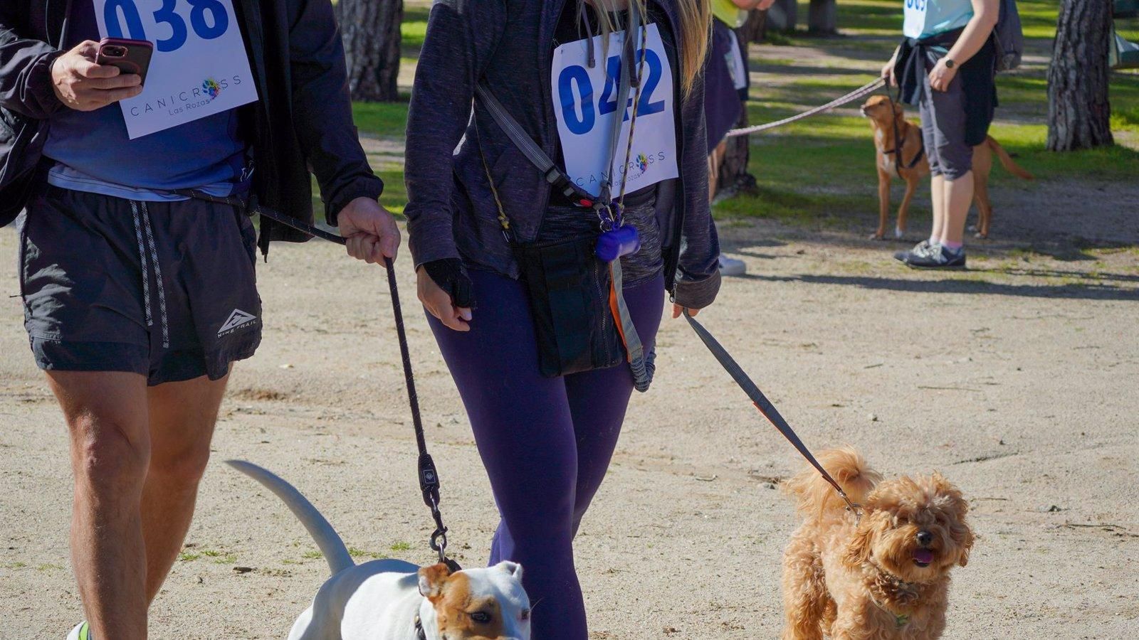 Más de 100 participantes y sus perros compiten en la segunda CaniCross de Las Rozas